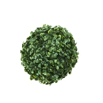 Plant Ball Boxwood Topiary (Set of 24) - Image 0