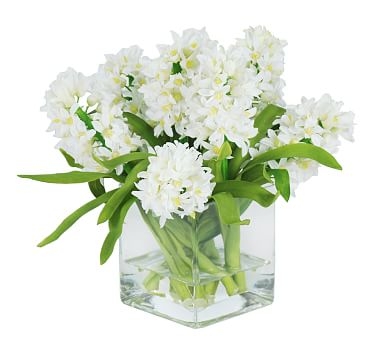 Faux Hyacinth in Square Glass, White - Image 0