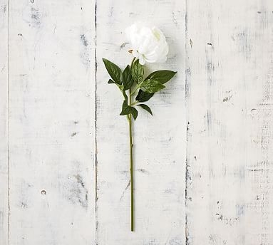 Faux Peony Stems - White - Image 0