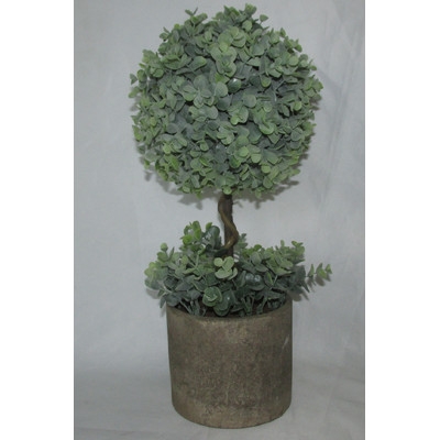 Boxwood Topiary in Pot - Image 0