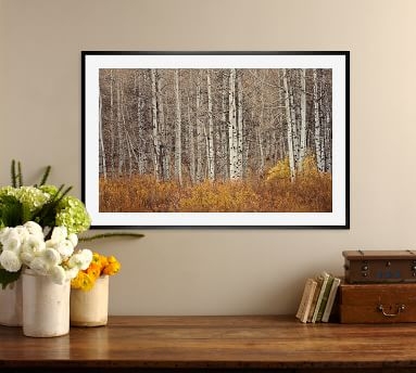 Aspen Trees by Jennifer Meyers, 42 x 28", Wood Gallery, Espresso, Mat - Image 1