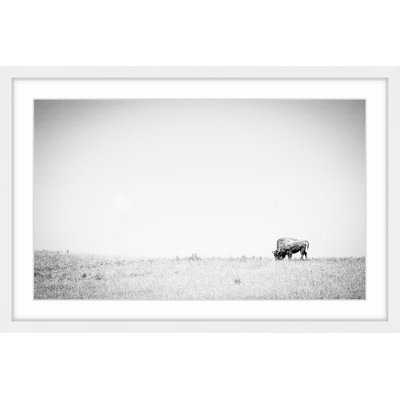 'Distant Grazing' Framed Photographic Print on Paper - Image 0