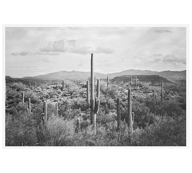 Saguaro Desert Landscape Jennifer Meyers 28x42 Wood Gallery White No Mat - Image 1