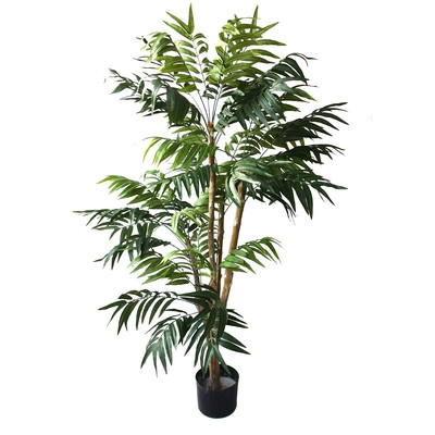 Tropical Palm Tree in Pot - Image 0