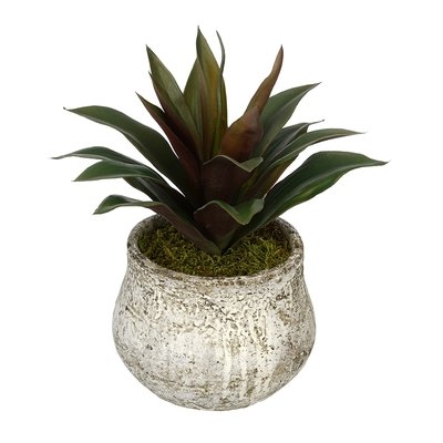 Artificial Succulent Desk Top Plant in Decorative Decorative Vase - Image 0