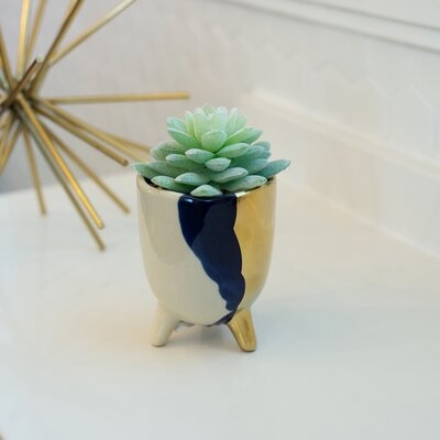 Tone Footed Ceramic Agave Succulent in Pot - Image 0