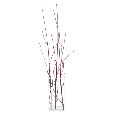 Artificial Curly Willow Branch (Set of 12) - Image 0