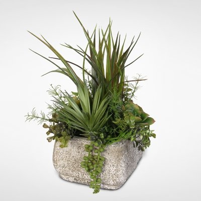 Artificial Desktop Succulent Variety Plant in Stone Pot - Image 0
