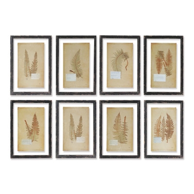 Fern - 8 Piece Picture Frame Graphic Art Print Set on Paper - Image 0
