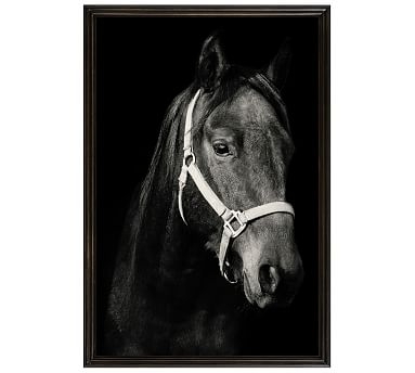 Dark Horse by Jennifer Meyers, 28 x 42", Ridged Distressed, Black, No Mat - Image 2