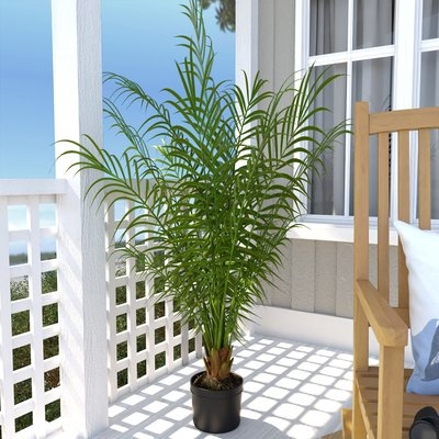Silk Areca Palm Tree in Pot - Image 0