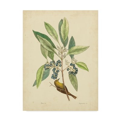 'Bird and Botanical V' Print on Wrapped Canvas - Image 0