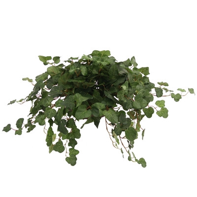 Topper with Silk Swedish Ivy Hanging Plant in Planter (Set of 2) - Image 0