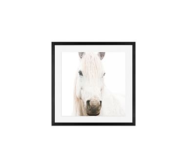 White on White Horse by Jennifer Meyers, 18 x 18", Wood Gallery, Black, Mat - Image 0