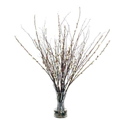 Pussy Willow Birch Branch - Image 0