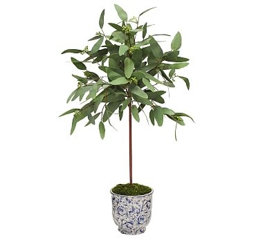 Faux Long Eucalyptus In Printed Cachepot, Green - Image 0