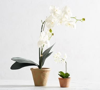 Faux Potted Orchid, 21" - Image 2