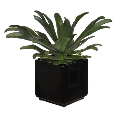 , Staghorn Agave Faux Eva Succulent In Black Ceramic Vase - Image 0