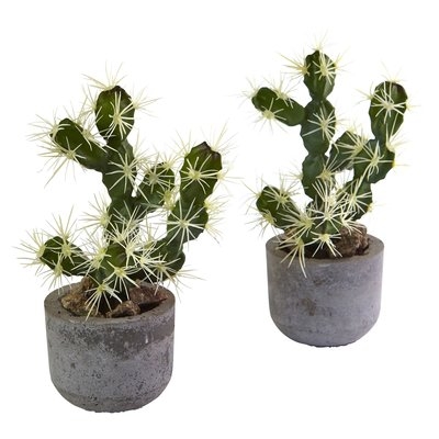 Cactus Plant in Pot (Set of 2) - Image 0