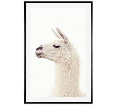 Llama by Jennifer Meyers, 28 x 42", Wood Gallery, Black, Mat - Image 0