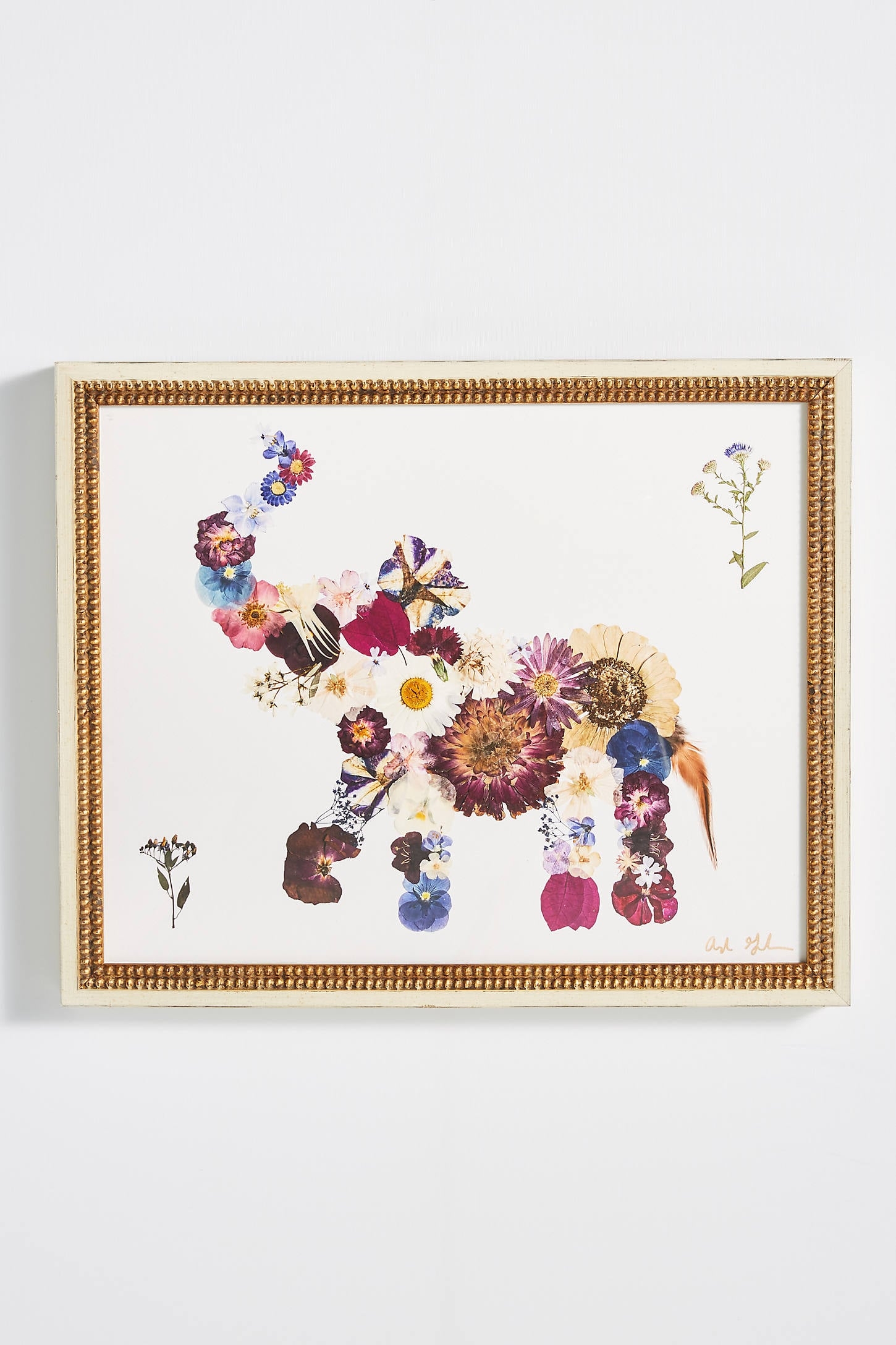 Pressed Flower Elephant Wall Art - Image 0