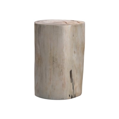 Petrified Wood Side Table, Wood, White - Image 4