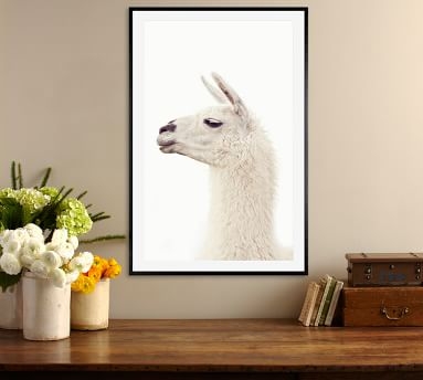 Llama by Jennifer Meyers, 25 x 25", Wood Gallery, Espresso, Mat - Image 1