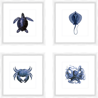 'Sea Creatures' 4 Piece Picture Frame Print Set - Image 0