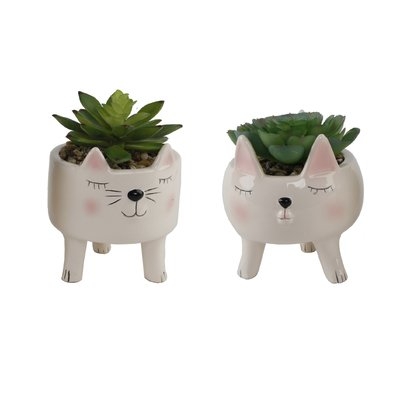 2 Piece Cat Succulent Desktop Plant in Pot Set - Image 0
