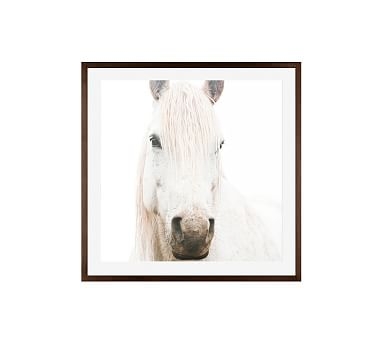 White on White Horse by Jennifer Meyers, 25 x 25", Wood Gallery, Espresso, Mat - Image 0