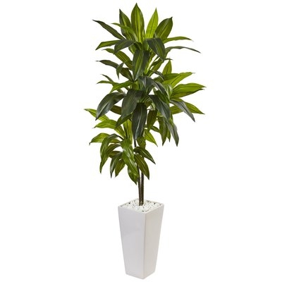 Artificial Dracaena Floor Foliage Plant in Planter - Image 0