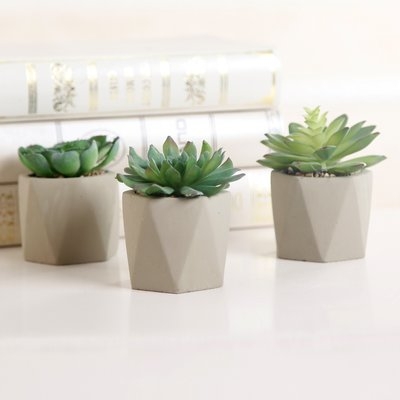 3 Piece Faux Cement Geo Agave Plant in Planter Set - Image 0