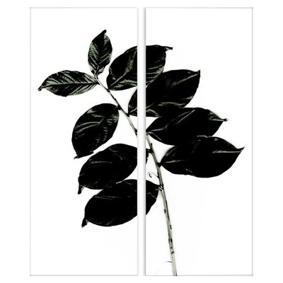 Black and White Botanical 2 Piece Graphic Art on Paper Set - Image 0
