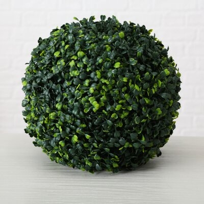 Ball Boxwood Topiary - Image 0