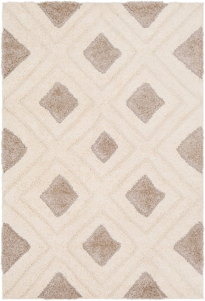 Cut & Loop Shag - 7'10" x 10'3" Area Rug - Image 0