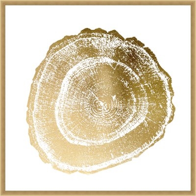 'Gold Foil Tree Ring III' Framed Graphic Art Print - Image 0