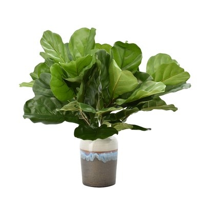 Fiddle Leaf Fig Foliage Plant in Pot - Image 0
