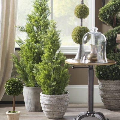 Herodias Artificial Cedar Topiary in Pot - Image 0