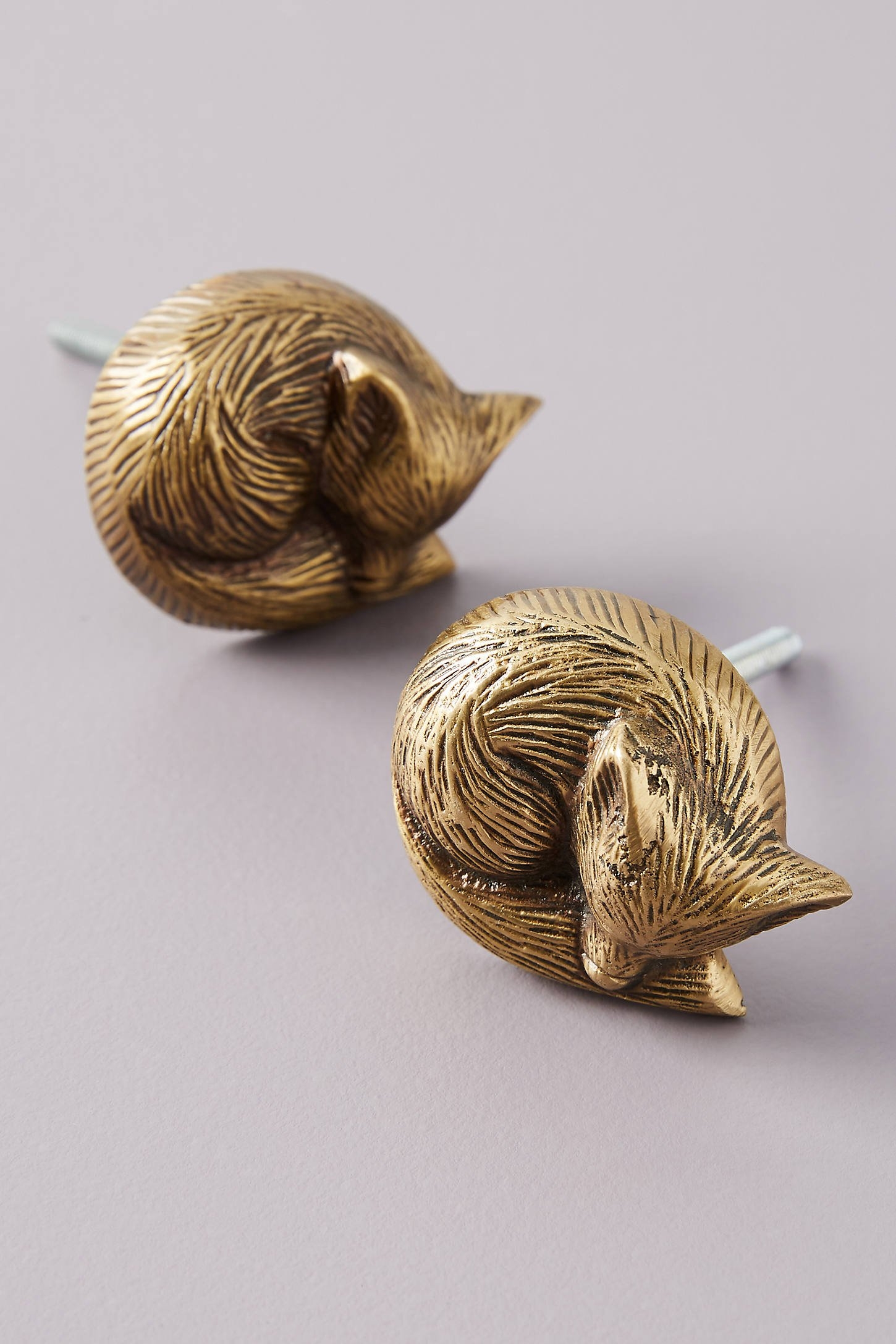 Sleeping Fox Knobs, Set of 2 - Image 0
