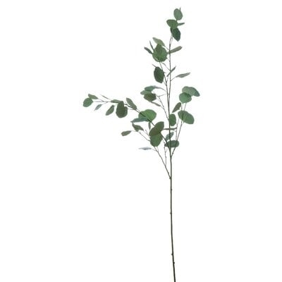 Eucalyptus Branch - Image 0