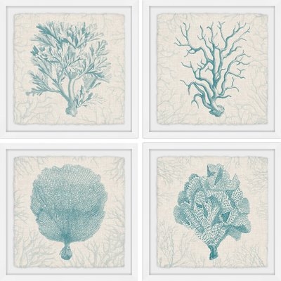 'Coral Group Quadriptych' 4 Piece Framed Graphic Art Print Set - Image 0