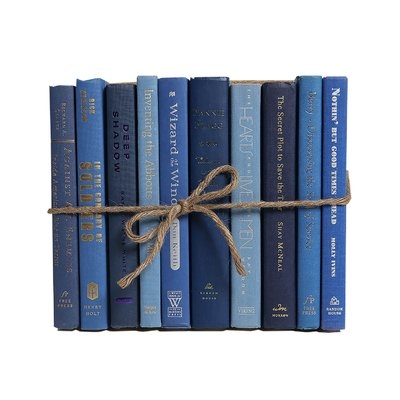 Authentic Decorative Books - By Color Modern Denim ColorPak (1 Linear Foot, 10-12 Books) - Image 0