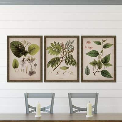 Plants I by Mendez - 3 Piece Picture Frame Graphic Art Print Set on Paper - Image 0