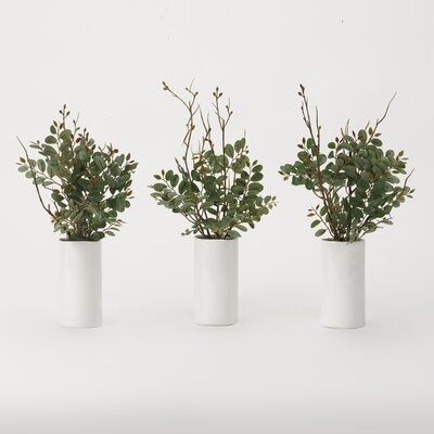 Pistachio Plant in Decorative Vase - Image 0