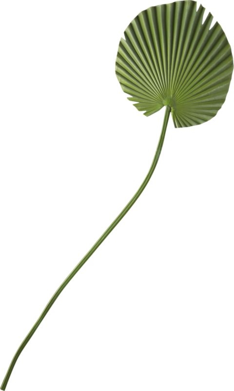 Faux Small Fan Palm Leaf - Image 1