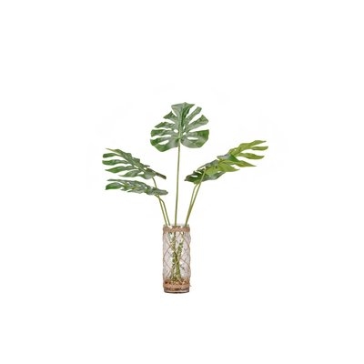 Split Leaf Philo Plant in Decorative Vase - Image 0