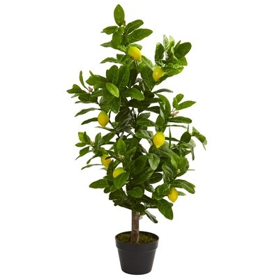 Lemon Floor Foliage Tree in Planter - Image 0