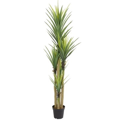 Dracaena Floor Foliage Plant in Vase - Image 0