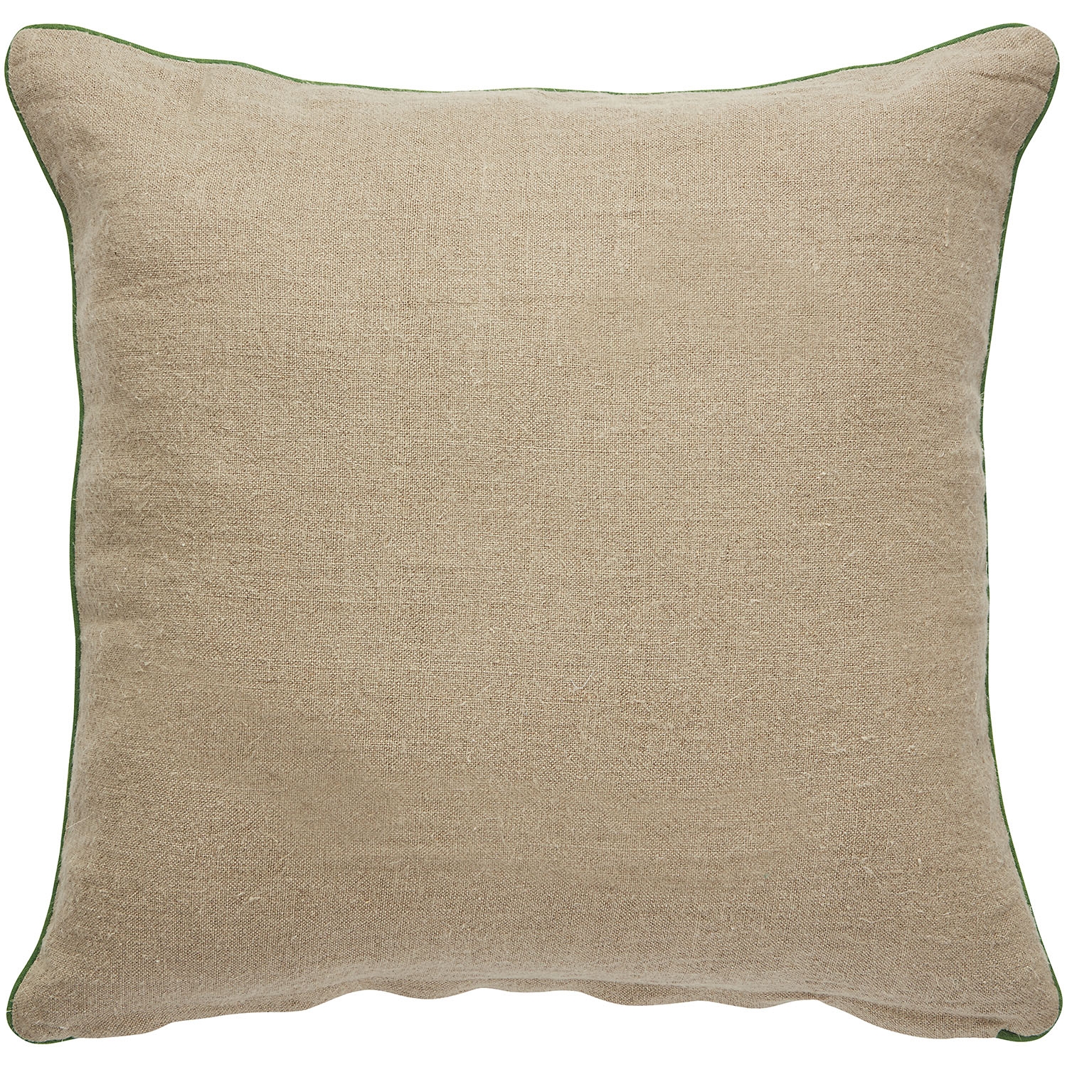 Design (US) Green 22"X22" Pillow - Image 1