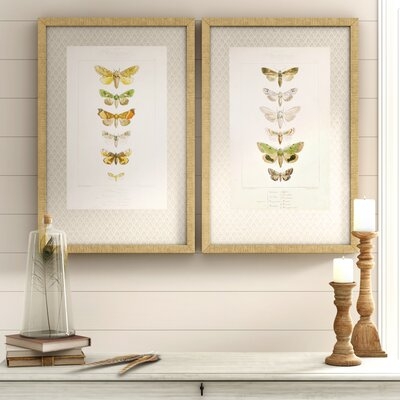 'Butterflies' 2 Piece Picture Frame Graphic Art Set - Image 0